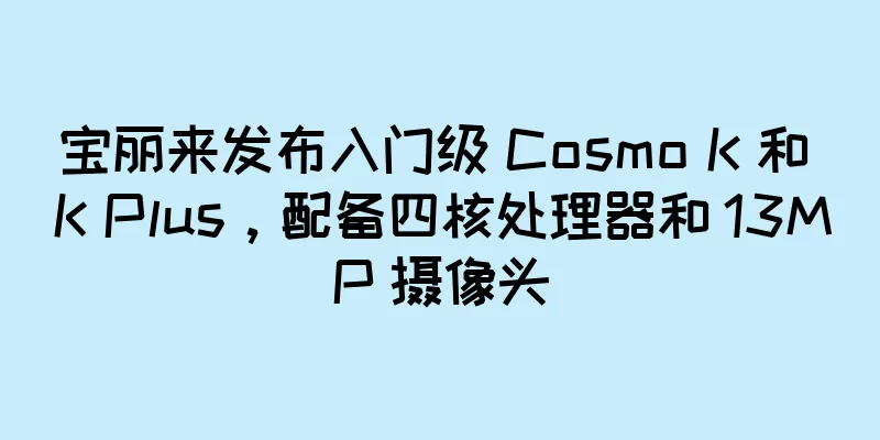 宝丽来发布入门级 Cosmo K 和 K Plus，配备四核处理器和 13MP 摄像头