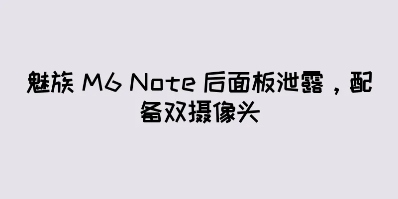 魅族 M6 Note 后面板泄露，配备双摄像头