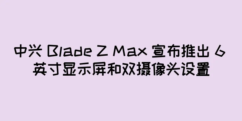 中兴 Blade Z Max 宣布推出 6 英寸显示屏和双摄像头设置