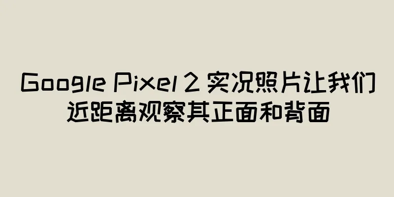 Google Pixel 2 实况照片让我们近距离观察其正面和背面