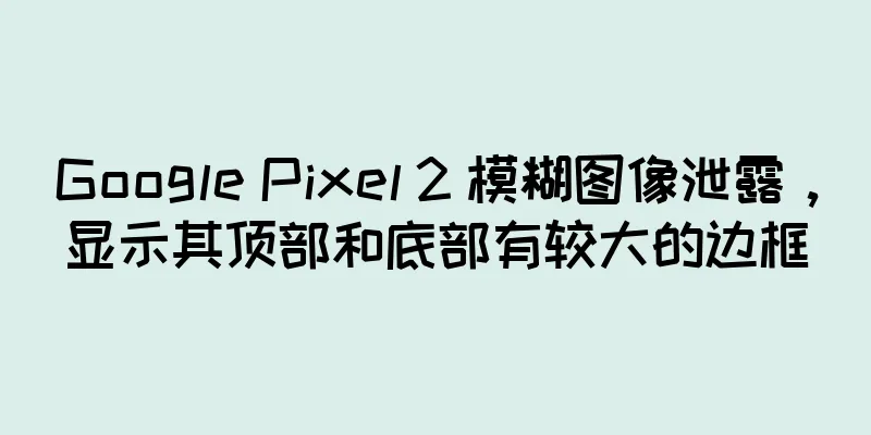 Google Pixel 2 模糊图像泄露，显示其顶部和底部有较大的边框