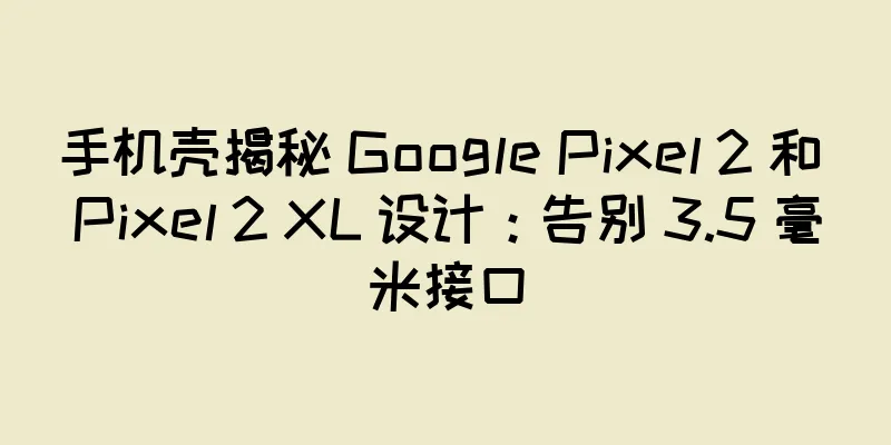 手机壳揭秘 Google Pixel 2 和 Pixel 2 XL 设计：告别 3.5 毫米接口