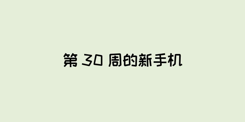 第 30 周的新手机