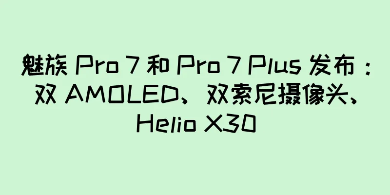 魅族 Pro 7 和 Pro 7 Plus 发布：双 AMOLED、双索尼摄像头、Helio X30