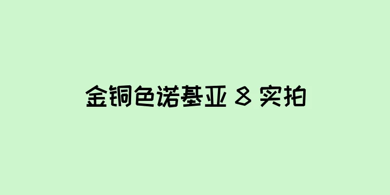 金铜色诺基亚 8 实拍