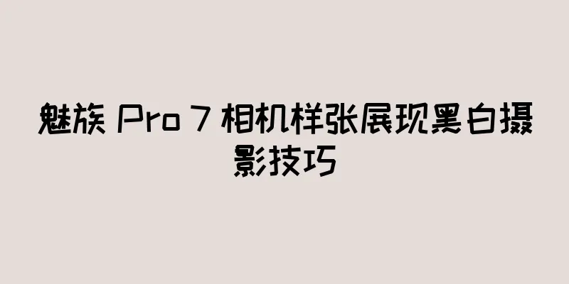 魅族 Pro 7 相机样张展现黑白摄影技巧