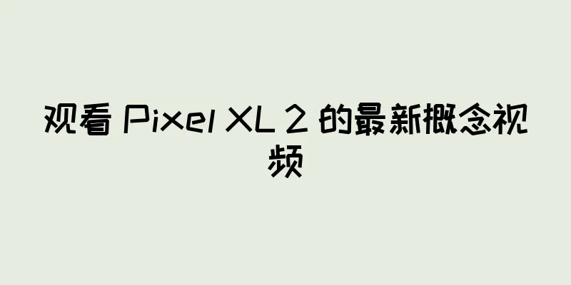 观看 Pixel XL 2 的最新概念视频