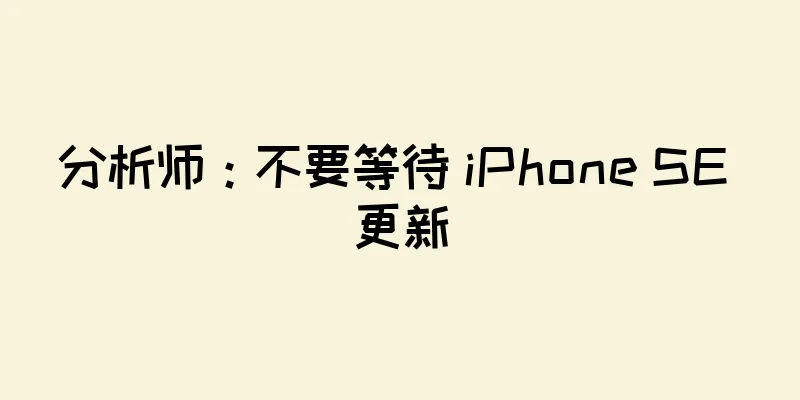 分析师：不要等待 iPhone SE 更新