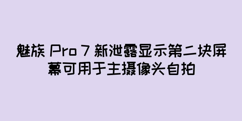 魅族 Pro 7 新泄露显示第二块屏幕可用于主摄像头自拍