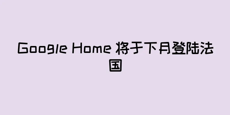 Google Home 将于下月登陆法国