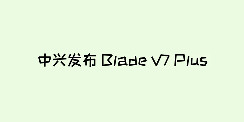 中兴发布 Blade V7 Plus