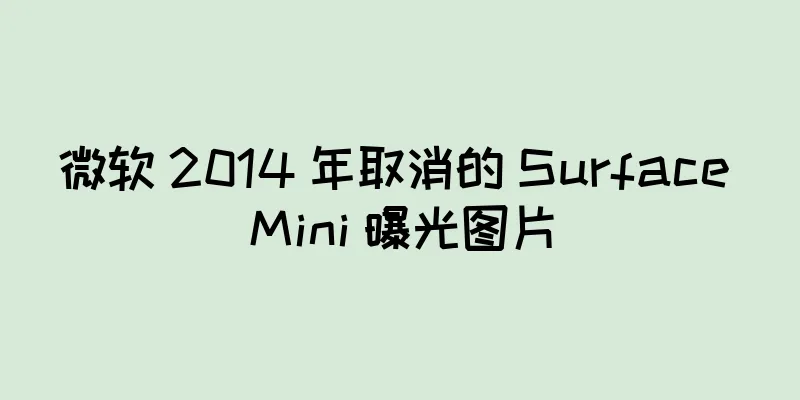微软 2014 年取消的 Surface Mini 曝光图片