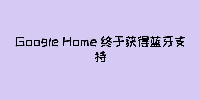 Google Home 终于获得蓝牙支持