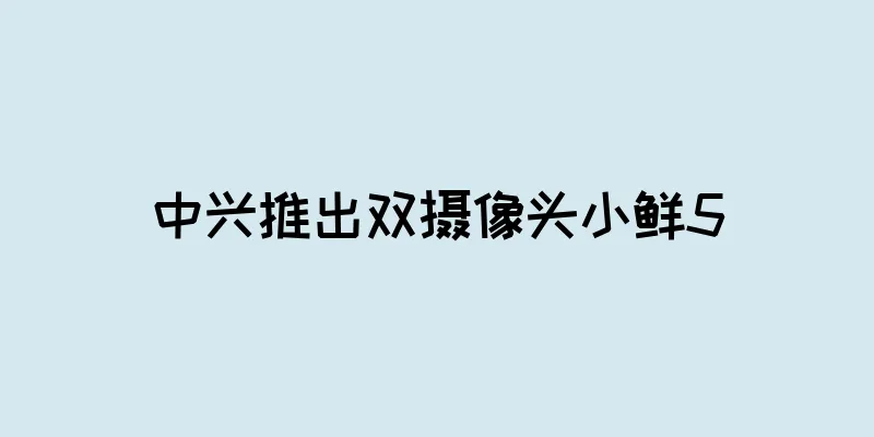 中兴推出双摄像头小鲜5