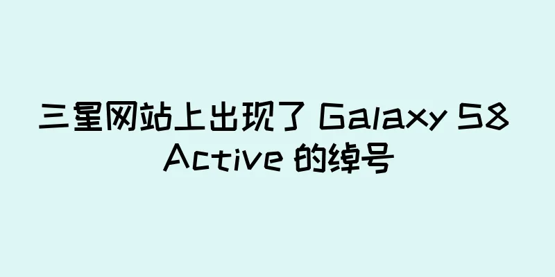 三星网站上出现了 Galaxy S8 Active 的绰号