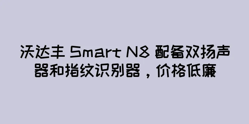沃达丰 Smart N8 配备双扬声器和指纹识别器，价格低廉