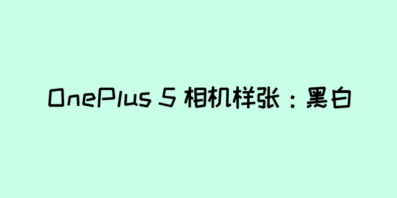 OnePlus 5 相机样张：黑白