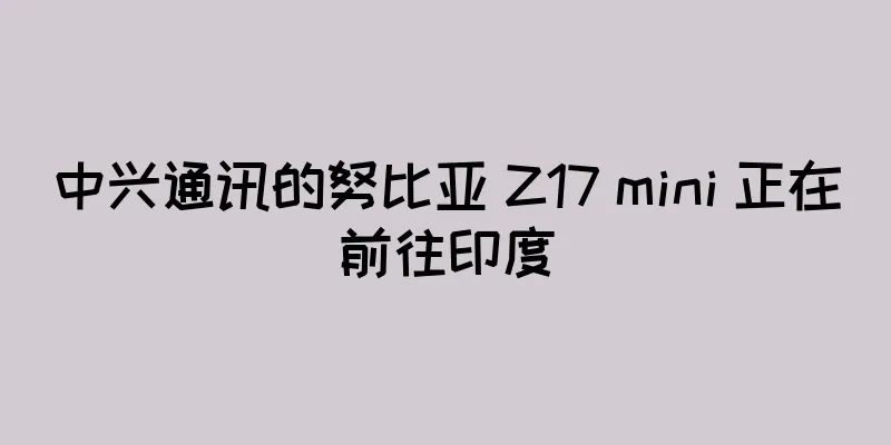 中兴通讯的努比亚 Z17 mini 正在前往印度