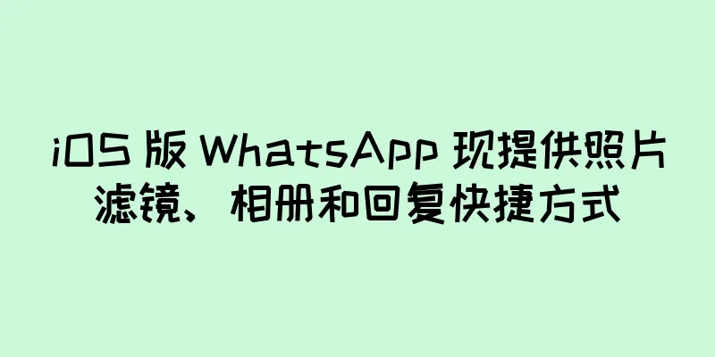 iOS 版 WhatsApp 现提供照片滤镜、相册和回复快捷方式