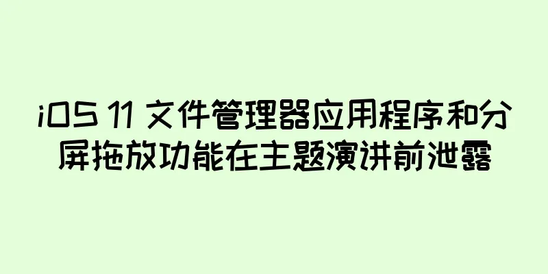 iOS 11 文件管理器应用程序和分屏拖放功能在主题演讲前泄露