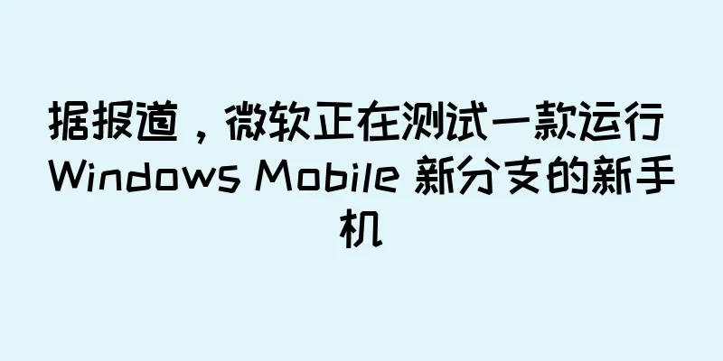 据报道，微软正在测试一款运行 Windows Mobile 新分支的新手机