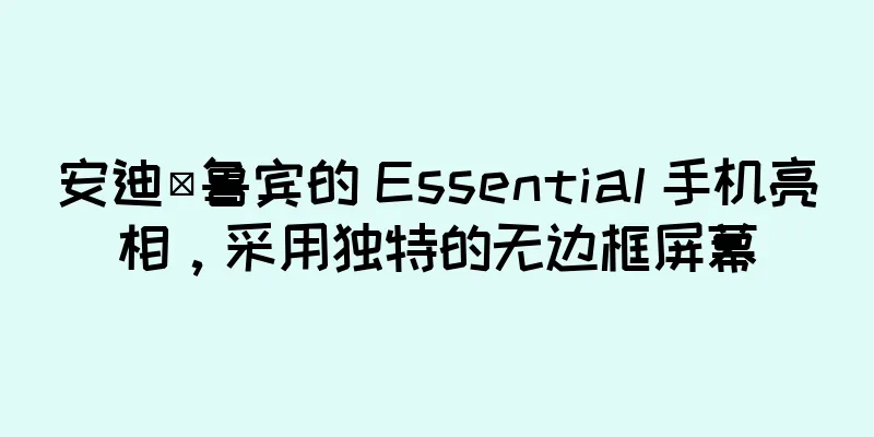 安迪·鲁宾的 Essential 手机亮相，采用独特的无边框屏幕
