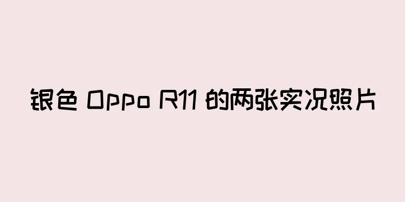 银色 Oppo R11 的两张实况照片