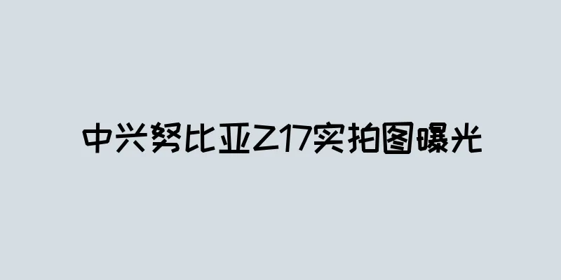 中兴努比亚Z17实拍图曝光