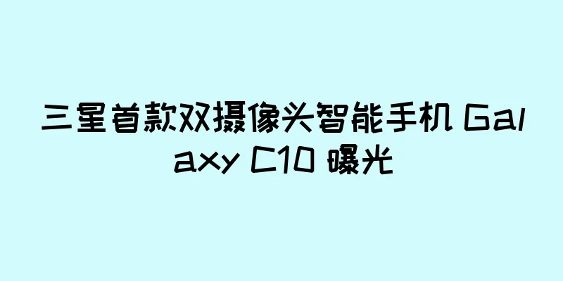 三星首款双摄像头智能手机 Galaxy C10 曝光