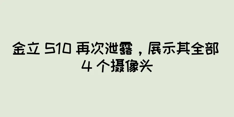 金立 S10 再次泄露，展示其全部 4 个摄像头