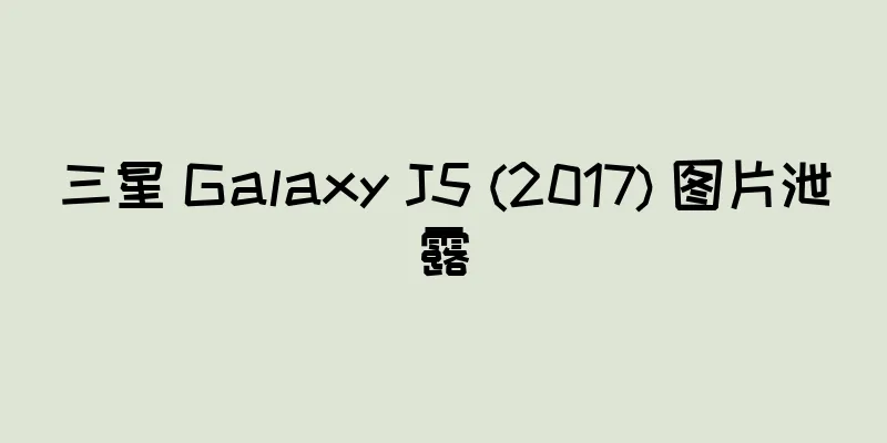 三星 Galaxy J5 (2017) 图片泄露