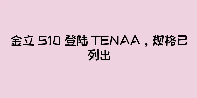 金立 S10 登陆 TENAA，规格已列出