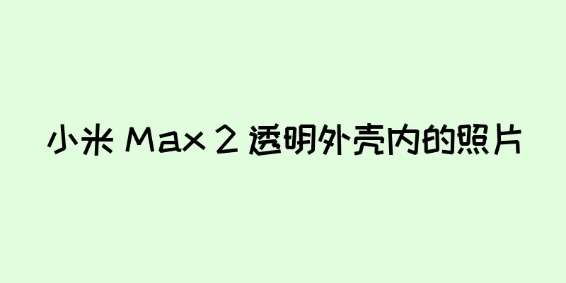 小米 Max 2 透明外壳内的照片