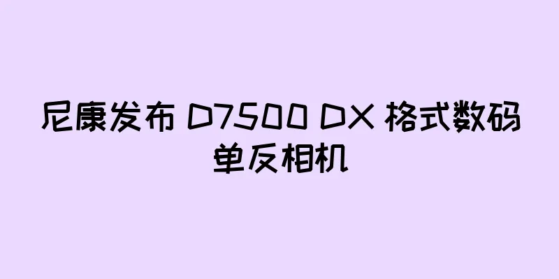 尼康发布 D7500 DX 格式数码单反相机