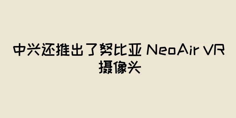 中兴还推出了努比亚 NeoAir VR 摄像头