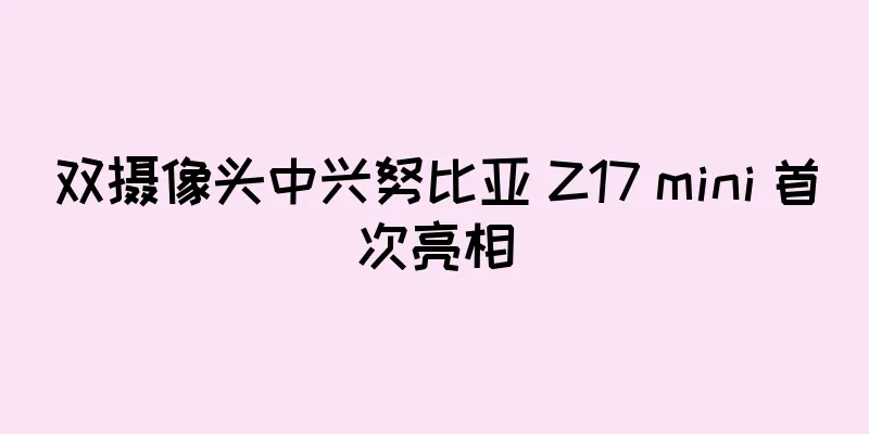 双摄像头中兴努比亚 Z17 mini 首次亮相