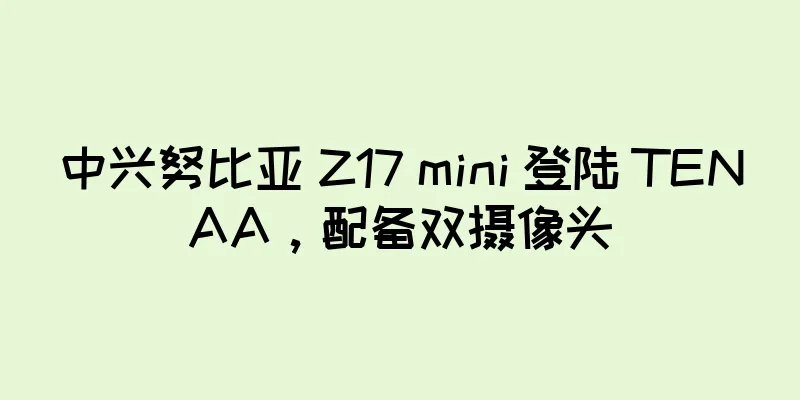 中兴努比亚 Z17 mini 登陆 TENAA，配备双摄像头