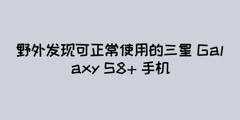野外发现可正常使用的三星 Galaxy S8+ 手机