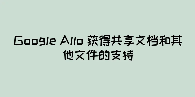 Google Allo 获得共享文档和其他文件的支持