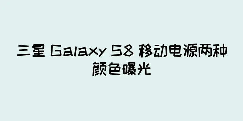 三星 Galaxy S8 移动电源两种颜色曝光