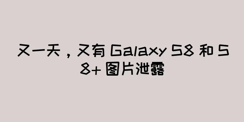 又一天，又有 Galaxy S8 和 S8+ 图片泄露