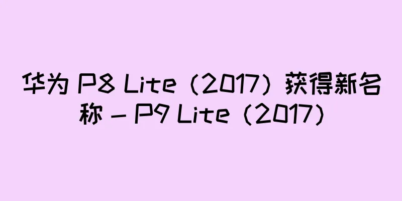 华为 P8 Lite（2017）获得新名称 - P9 Lite（2017）
