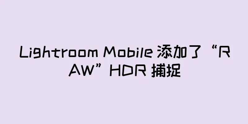 Lightroom Mobile 添加了“RAW”HDR 捕捉