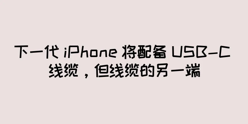 下一代 iPhone 将配备 USB-C 线缆，但线缆的另一端
