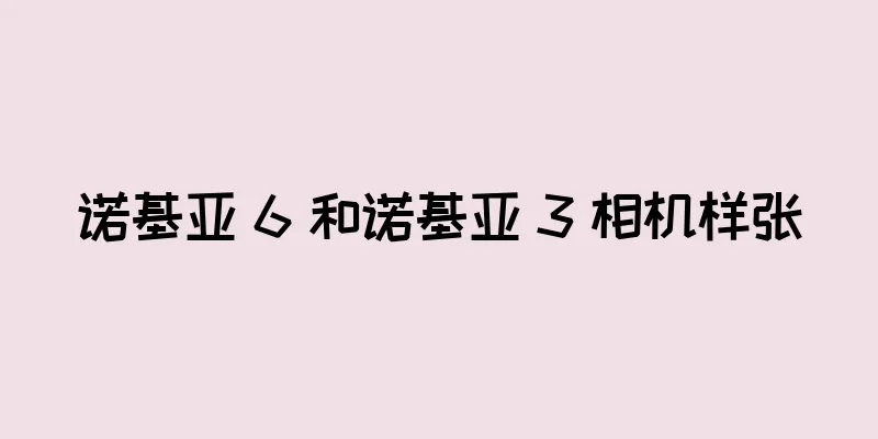 诺基亚 6 和诺基亚 3 相机样张