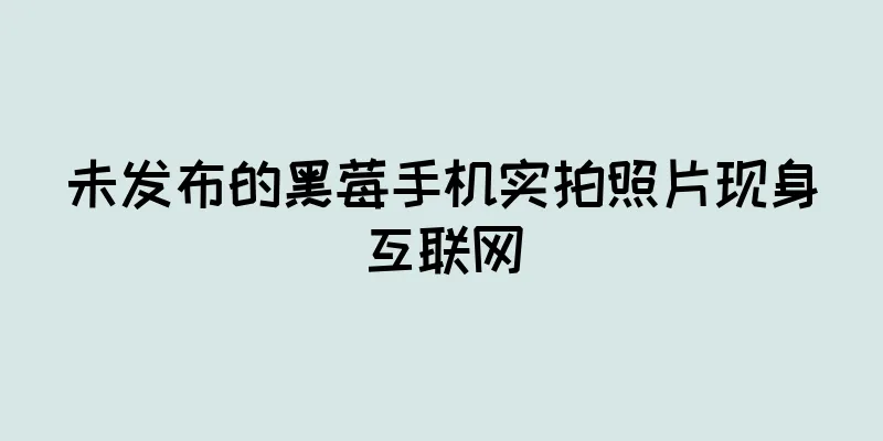 未发布的黑莓手机实拍照片现身互联网
