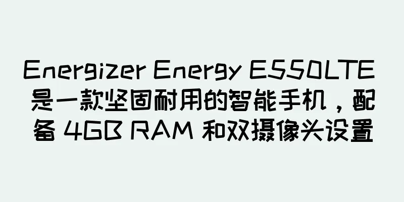Energizer Energy E550LTE 是一款坚固耐用的智能手机，配备 4GB RAM 和双摄像头设置