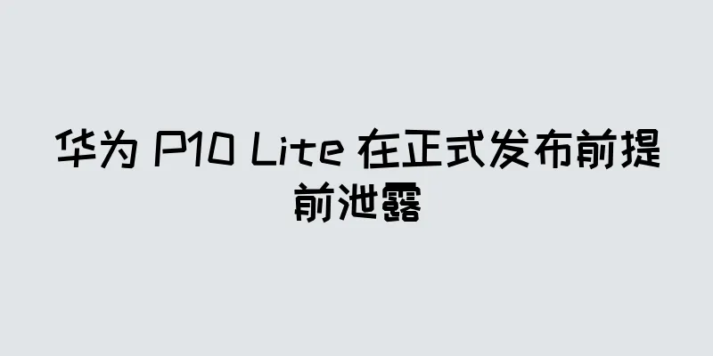 华为 P10 Lite 在正式发布前提前泄露