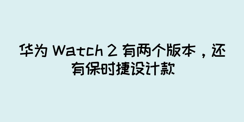 华为 Watch 2 有两个版本，还有保时捷设计款
