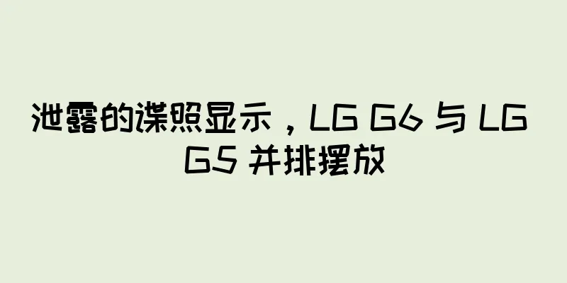 泄露的谍照显示，LG G6 与 LG G5 并排摆放